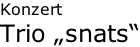 Konzert Trio „snats“